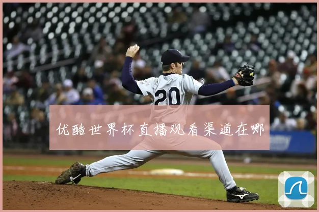 优酷世界杯直播观看渠道在哪