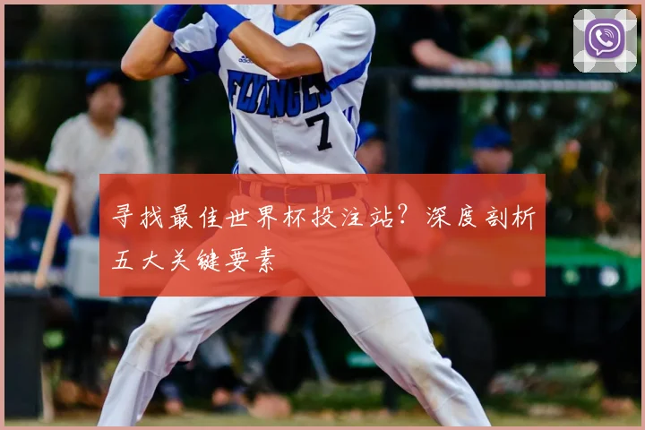 寻找最佳世界杯投注站?深度剖析五大关键要素