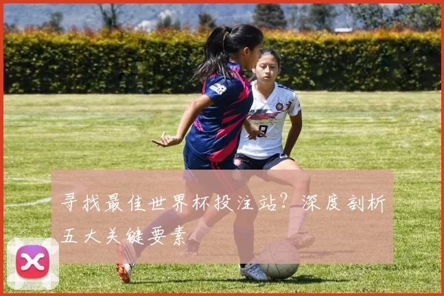 寻找最佳世界杯投注站?深度剖析五大关键要素